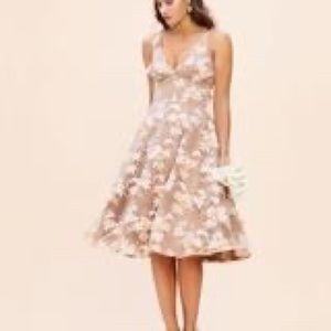 Dress the population dress